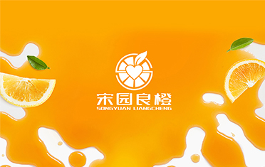 某良橙——安徽LOGO设计