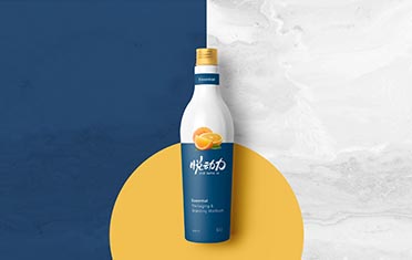 安徽某动力 品牌设计